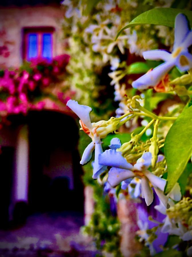 Podere di Belforte Bagno a Ripoli Eksteriør bilde