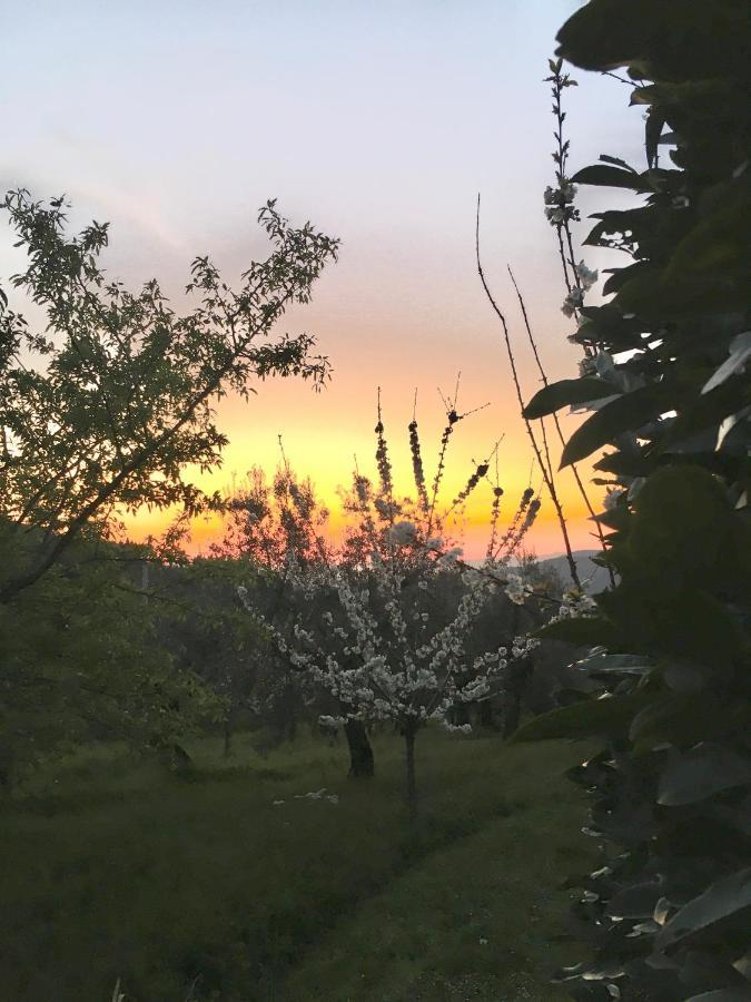 Podere di Belforte Bagno a Ripoli Eksteriør bilde