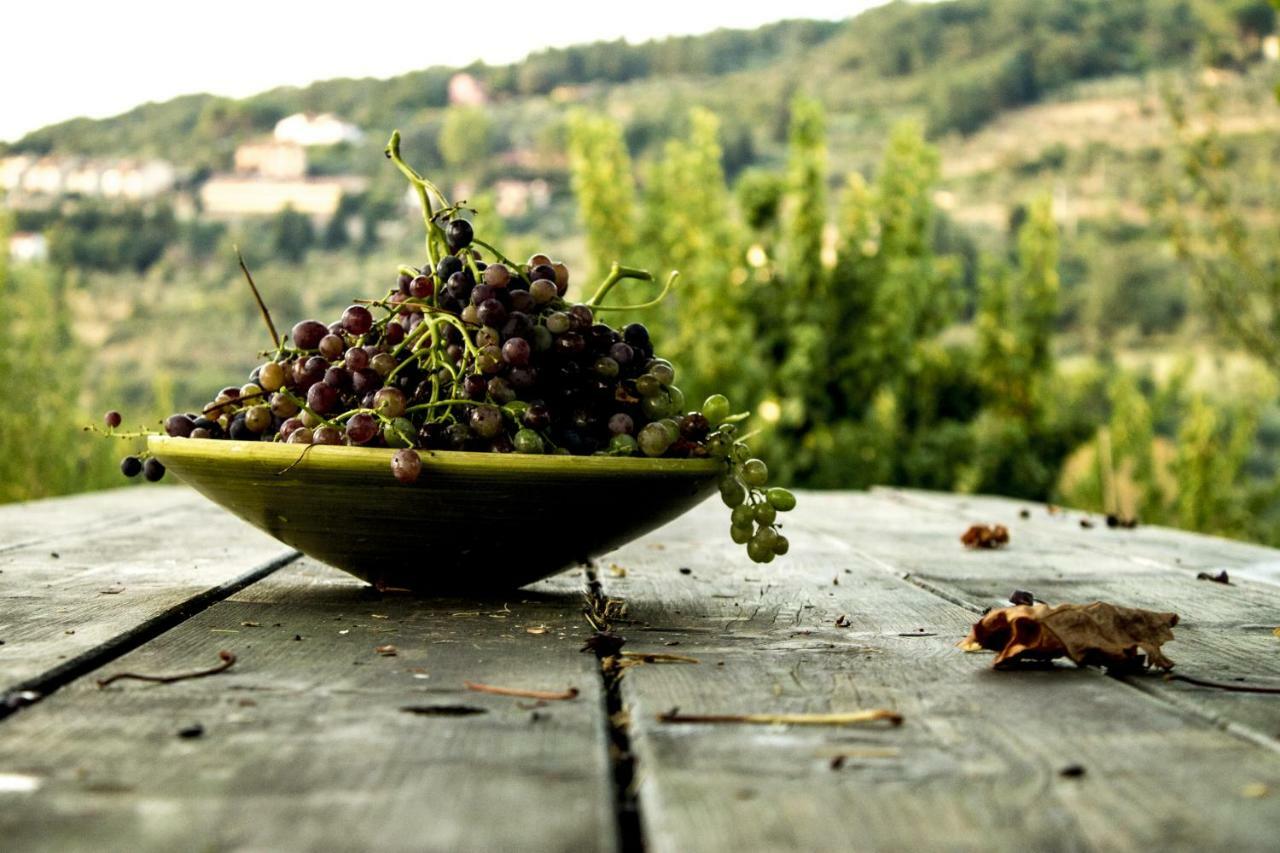 Podere di Belforte Bagno a Ripoli Eksteriør bilde